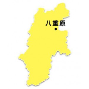 Nagano Koshihikari Rice
